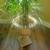 Beautiful faux Palm in 20 inch tall planter I have two each $100 4 thumbnail