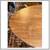 William-sonoma Home Tulip Walnut Dining Table 7 thumbnail