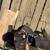 Pitbull mix 5 thumbnail