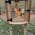 Brooder box - 2 tier - Delivery available 2 thumbnail