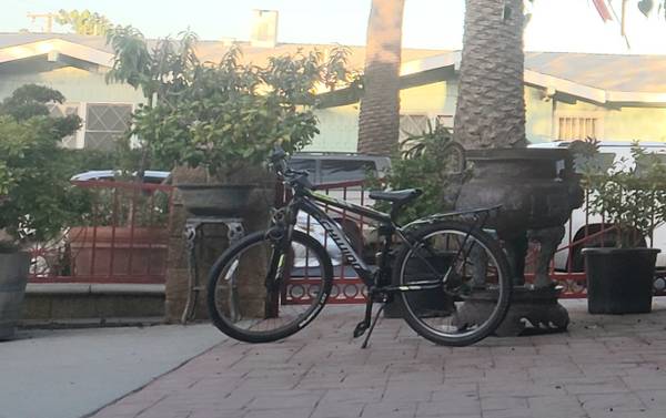 Bicicleta de montaña LB desaparecida (Long Beach)