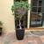 5 gallon plant pot 1 thumbnail