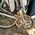 Specialized Allez Elite Bicycle 5 thumbnail