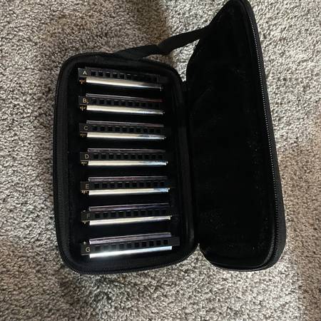Bluesband Harmonica Set w/ Case 1