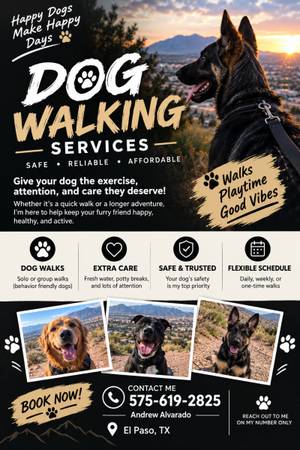 Dog walker 1