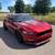 2015 Whipple Stage 2 Mustang GT 4 thumbnail