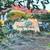 Wonderful 3BR Single Story Condo in Tanglewood!!! 22 thumbnail