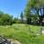 🌳🍂ONE-TIME YARD CLEAN-UP – FREE ESTIMATES – CALL/TEXT (916) 821-4150 14 thumbnail