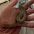 Western hognose superconda 2 thumbnail