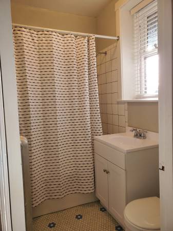 $1,450 / 1br - 900ft2 - One Bedroom/One Bath in Historic Building ~ Heat Included (Chicago)63899125855362123