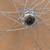 Campagnolo Record Wheelset 700c Moscow Moskva 80 Rims 12 thumbnail