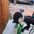 Woom Original 4, Green 4 thumbnail