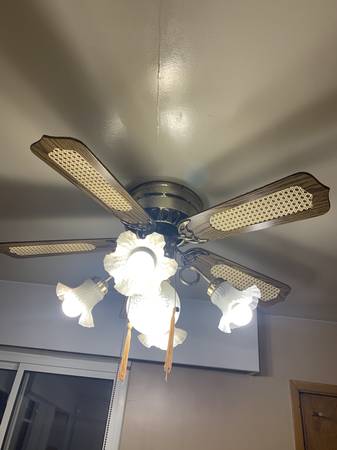 Celing Fan with Lights – Very Good Condition 1