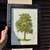 Variety of Framed Art work 3 thumbnail