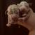 Mini/Medium  Golden Aussie Doodles 3 thumbnail