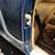 1970 VOLKSWAGEN KARMANN GHIA CONVERTIBLE 23 thumbnail
