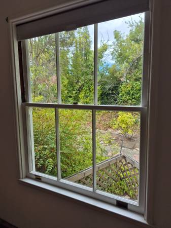 2@ 42x54” FLASH SALE!!! Single hung wood window 1