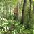 23 acre paradise for sale 14 thumbnail