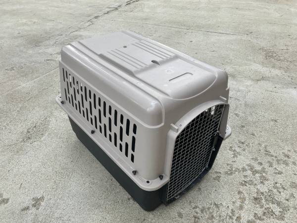 Medium / Large plastic hard-sided pet carrier 1