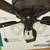 New Hunter 52-inch Oakhurst Ceiling Fan with Light Kit 4 thumbnail