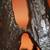 A Museum-level Bonseki Zen Natural Scholar Stone, Lingbi Stone (灵璧石) 14 thumbnail