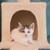 Kittens for free 5 thumbnail