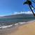 Front-Row Beach View Condo only 99 Steps to Sugar Beach 19 thumbnail