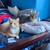 Cats need a loving home 3 thumbnail