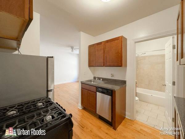 $1,395 / 400ft2 - Updated Studio, 1 Bath in Lakeview, Available: 12/1/2025 (Lakeview)63918412060162122