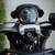 2025 Triumph Trident 660 -Triple Tribute Edition 12 thumbnail