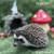 Hedgehog babies 1 thumbnail