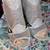 Women /Small Feet Needed 8 M 38.5  Size Peep Toe Side zipper $10 3 thumbnail