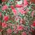 Beautiful Floral Print Shirt 1 thumbnail