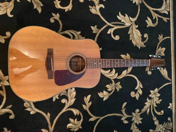 Fender 12 string guitar 1