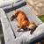 Three very nice pet beds.  Two large and one medium 3 thumbnail