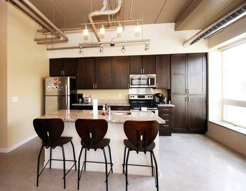$600 Luxury Apartment Rooms For Rent - SE Minneapolis (Minneapolis)63868700677251123