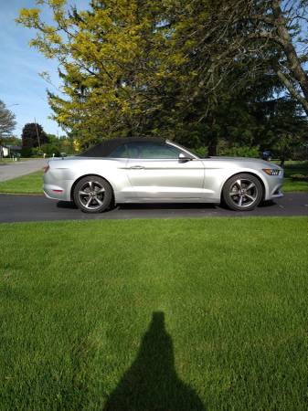 2015 Mustang Convertible Eco Boost - $14,800 (Lockport, NY)63483419028355122