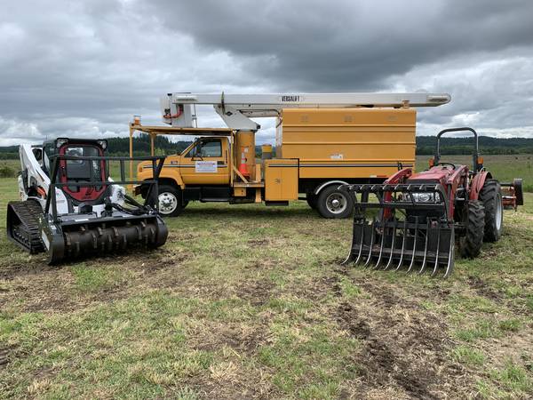 A-1 SERVICES: TREE SERVICE. BRUSH CLEARING, TRACTOR WORK, ROTOTILLING, 1
