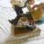 THE VILLAGE DENTIST, sculpture 1 thumbnail