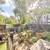 2 Bed 1 Bath + Backyard 5 thumbnail