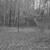 Deer/Hog Hunting 13 thumbnail