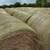 5x6 top quality cattle hay 8 thumbnail