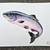 Original Leaping Salmon - Hand-Signed 11x8 Watercolor & Ink Illustrati 3 thumbnail