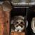Firm Price! Brand New in a Box Litter Box Enclosure w/Shelves 8 thumbnail