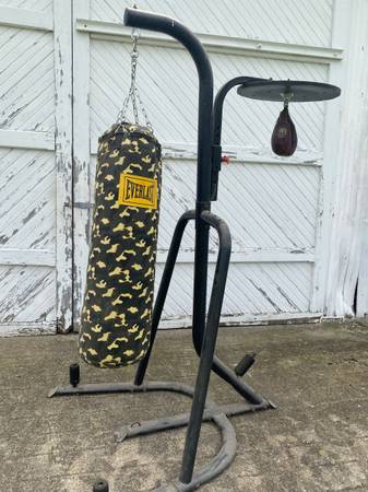 Everlast punching bag and speed bag boxing 1