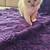 Ragdoll Kitten 7 thumbnail