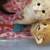 Mother tortie and her 3 babies 5 thumbnail