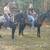 Walking Horse Geldings Ride and Drive - Rosco and Rex 4 thumbnail