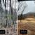 Land Clearing, Tree Services, Wild Fire Prevention, Road Maintenance! 6 thumbnail