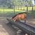 Cattle/ 2 Heifers @@@@@@@@@@@@@@@@@@ 3 thumbnail